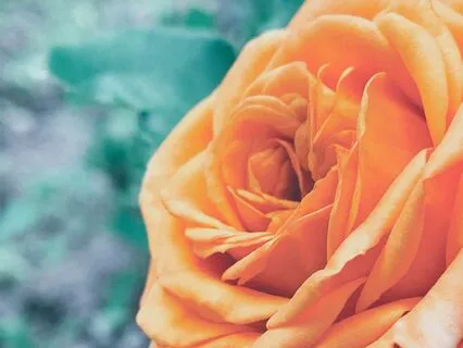 Healing Resonance: 285Hz For Cellular Repair & Grounding