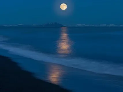 Healing Rest: Relieve Stress And Sleep Well