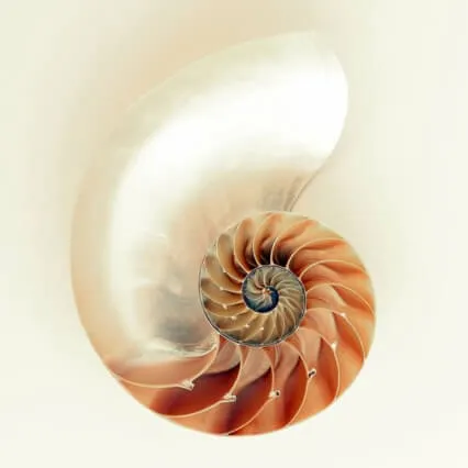 Healing Rhythms | Solfeggio 417 hz | Transforming Negativity