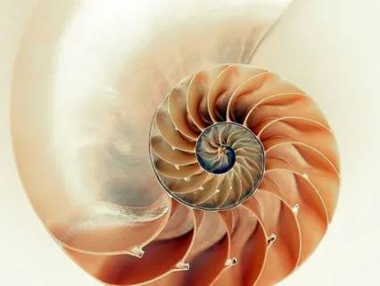 Healing Rhythms | Solfeggio 528 |  Love & Everyday Miracles 