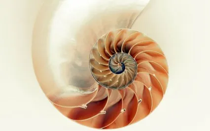 Healing Rhythms | Solfeggio 639hz | Healing In Relationships