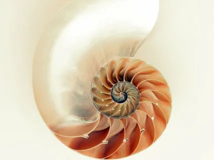 Healing Rhythms | Solfeggio 852 | Harmony With Higher Self