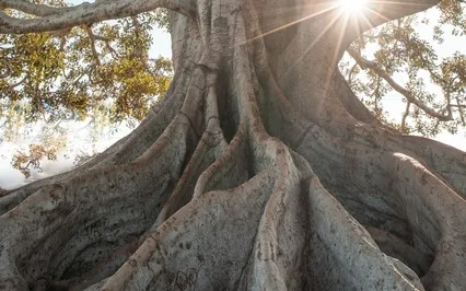 Healing Root Chakra 396Hz (Alchemy Crystal Singing Bowl)