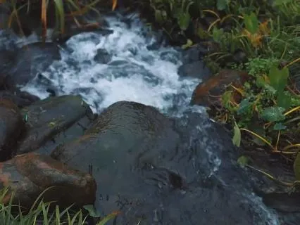 Deep Healing Nature Sounds For Calm • Running Water