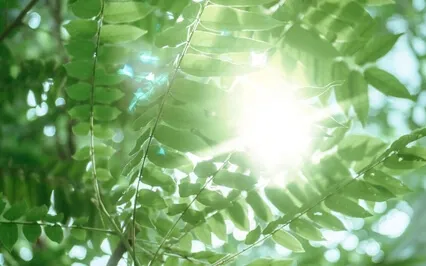 Healing Self-Improvement Addiction - Insight Timer Live