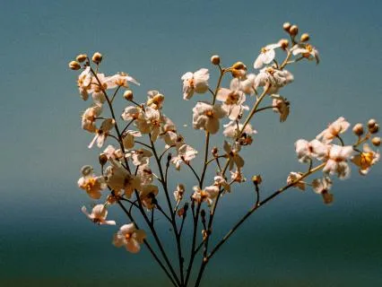 Healing Self Love Affirmations (For Sensitive Hearts)