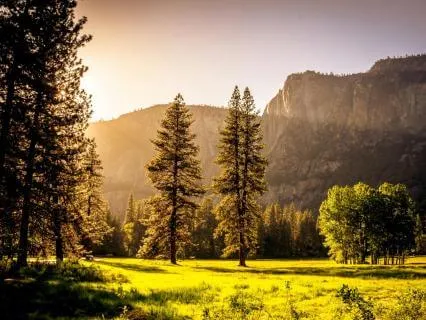 Healing Self-Talk: Self-Love Meditation