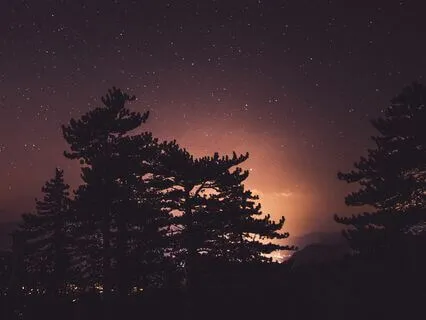 Healing Serenade: Soothing Sounds For Sleep