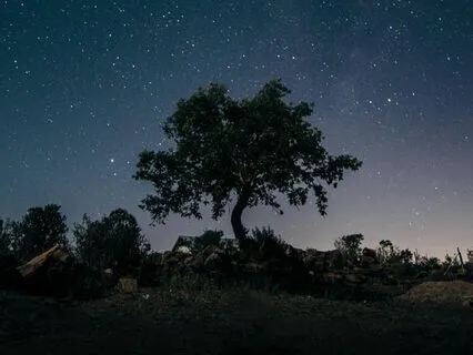 Healing Serenity: Ambient Music & Binaural Beats For Sleep