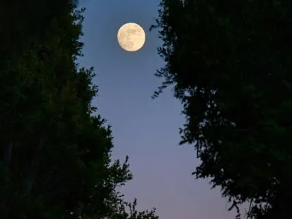 Healing Sleep 528Hz Music 8 Hours