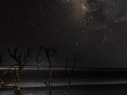 Healing Sleep Harmony - Sleep Music - Inner Peace Meditation