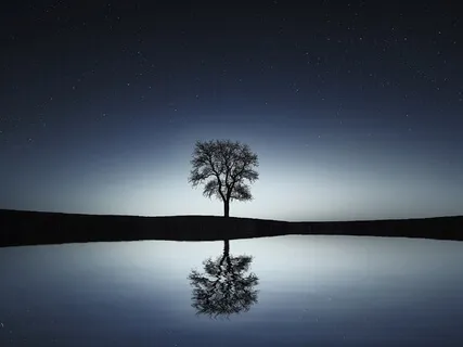 Healing Sleep Meditation - Perfect Health