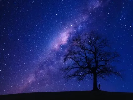 Healing Sleep Music: 432Hz Sleep Music To Fall Asleep