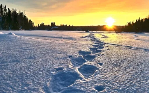 Healing Sleep Music - Drifted Slumber