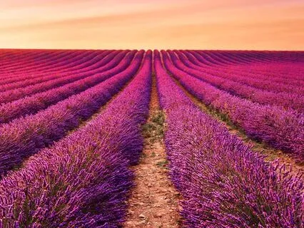 Healing Sleep Music For Chakra Alignment and Deep Relaxation