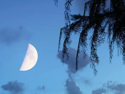 Healing Sleep Music | Insomnia Relief