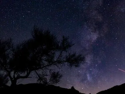 Healing Sleep Music: The Stillness Of Grace