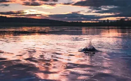 Healing Sleep Music - Theta Waves