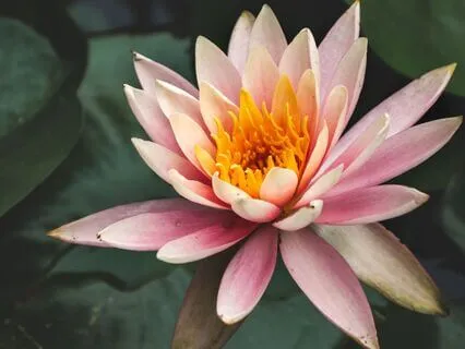 Healing Sleep Music To Overcome Fear and Release Anxiety