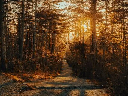 Healing Sleep Music - Vol 1