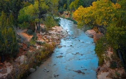 Healing Sleep Relief Music