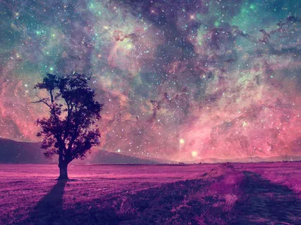 Healing Sleep, Renew And Yummy Fine Flow (Studio Version)