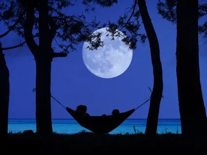 Healing Sleep: Restorative Night Tunes