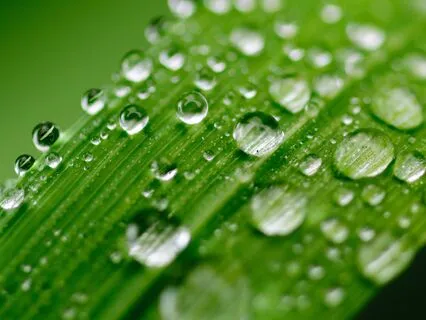 Healing Sleepwaves - Restorative Nighttime Journey