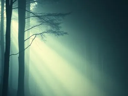 Healing Social Media Anxiety