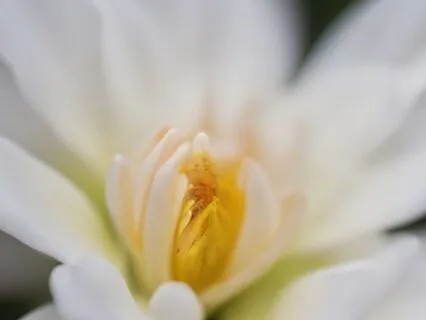 Healing Song: "It Won't Always Hurt (this Too Shall Pass)"