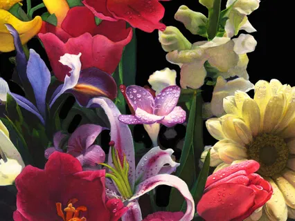 Healing Song - Piano Guitar Duet