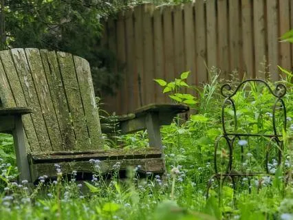 Healing Sound: Garden Rest With Frequencies