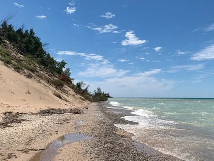 Healing Sound Project - Wood 