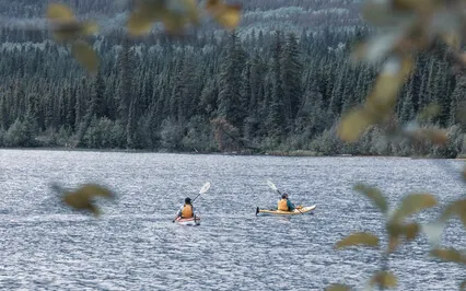 Healing Sound Therapy I  Calming Water Sounds Of A Creek