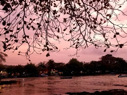 Healing Sounds Meditation