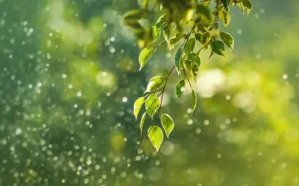 Healing Sounds Of Nature