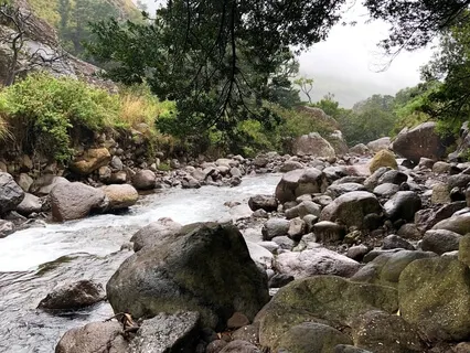 Healing Sounds Of South Africa: Mountain River