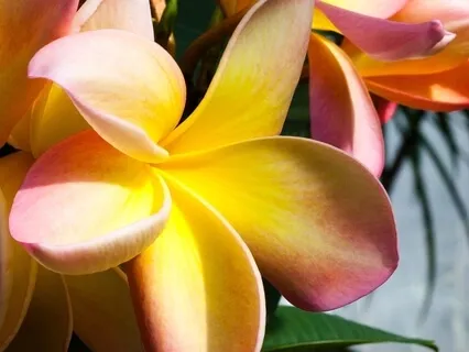 Healing Spa Meditation