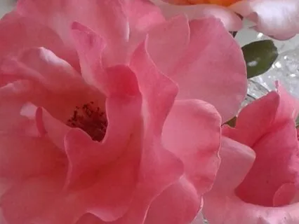 Healing Light Sparkly Light Visualization