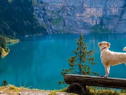 Healing Spirit - Music For Deeply Healing Regenerative Sleep