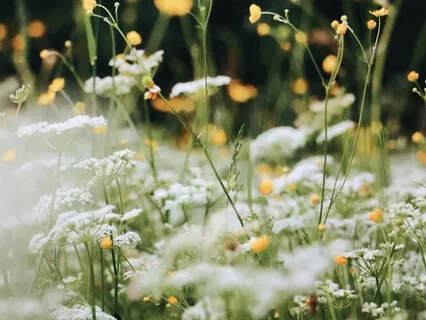 Healing Spring Equinox Meditation