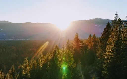 Healing Stress, Tension & Overwhelm (Live With Chimes)