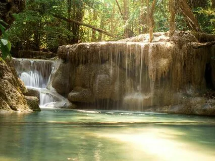 Healing The Ancestral Ties With Sounds Of Forgiveness