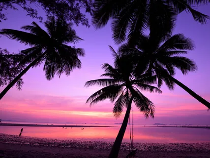 Healing The Body During Sleep