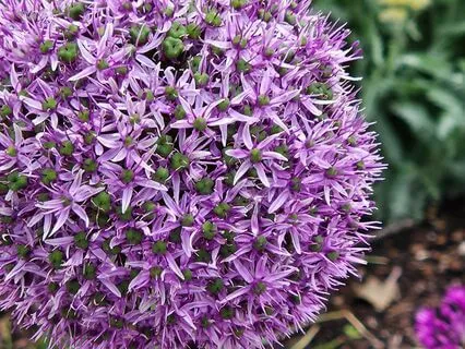 Healing The Body With Figure Eights Of Energy