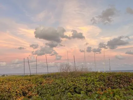 Healing the Body with Patience - Meditation