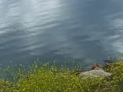 Healing The Ego Is Not Self-Realization