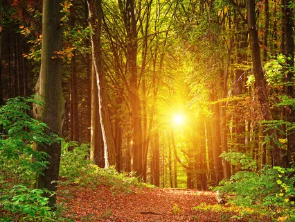 Healing The Heart From Grief