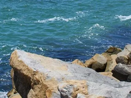 Healing The Love Wound: Awakening Through Presence