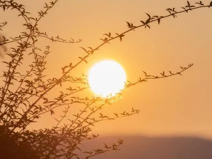 Healing The Lower Frequencies From Within